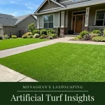 Artificial turf putting green in the Sellwood neighborhood of Portland Oregon