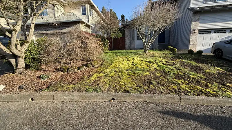 Moss covered front yard before renovation at a Rock Creek neighborhood home in NW Portland Oregon