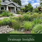 rain-garden-sellwood-portland-oregon