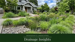 rain-garden-sellwood-portland-oregon