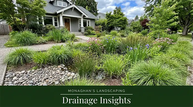 rain-garden-sellwood-portland-oregon