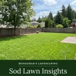 Large sod lawn in a Happy Valley Oregon backyard
