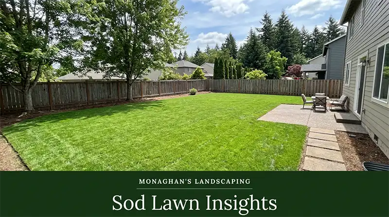 Large sod lawn in a Happy Valley Oregon backyard