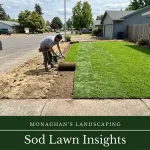 Established sod lawn in a Lake Oswego Oregon front yard