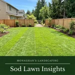 Fresh sod lawn installation at a Beaverton Oregon home