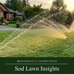 Sod lawn replacing a dead lawn at a Hillsboro Oregon home