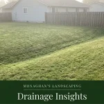 Grass swale drainage in a backyard at a Gladstone Oregon home