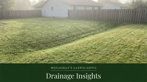 Grass swale drainage in a backyard at a Gladstone Oregon home