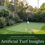 Synthetic grass in a shaded backyard at a Damascus Oregon home