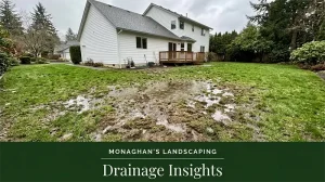 Standing water in a residential yard in West Linn Oregon